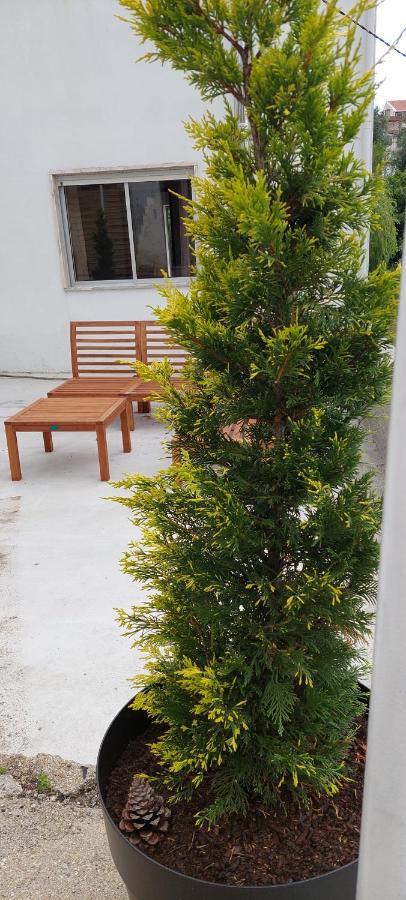Lideal Apartamento Coimbra Exterior foto